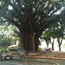 Praça Oswaldo Cruz