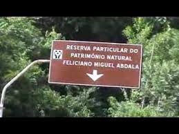 Mata do Feliciano