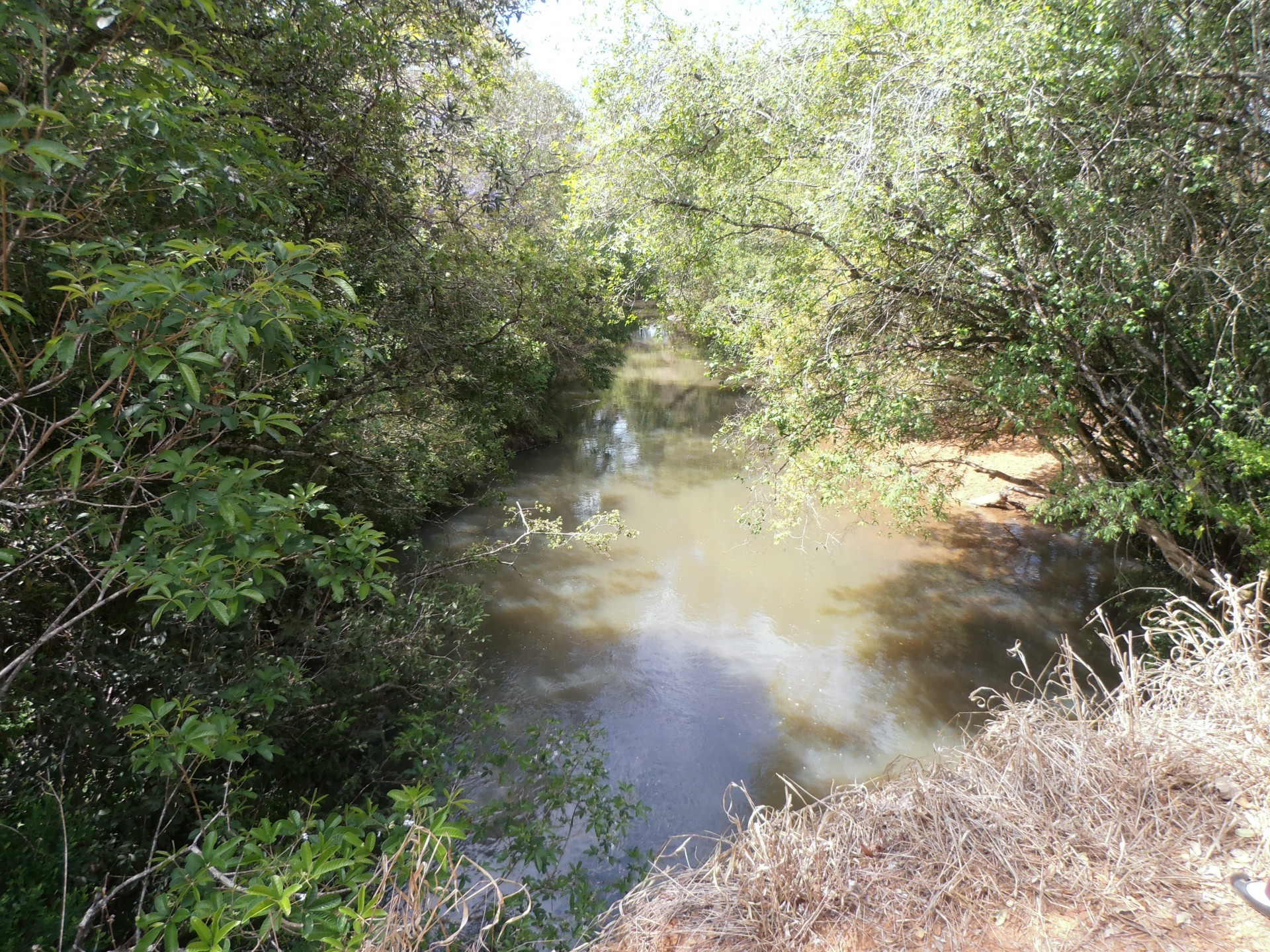 Cachoeira do Nem Teixeira