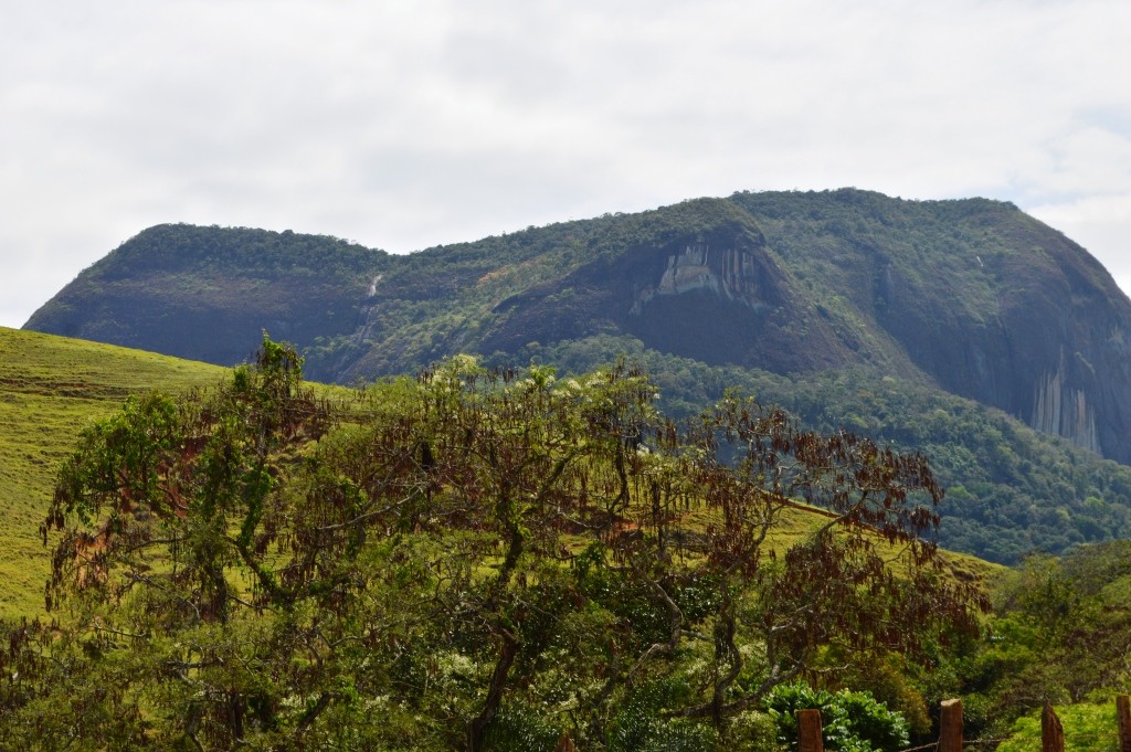 Pedra Elefantina