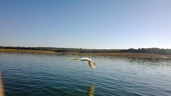 Represa de Três Marias - Imagem 7