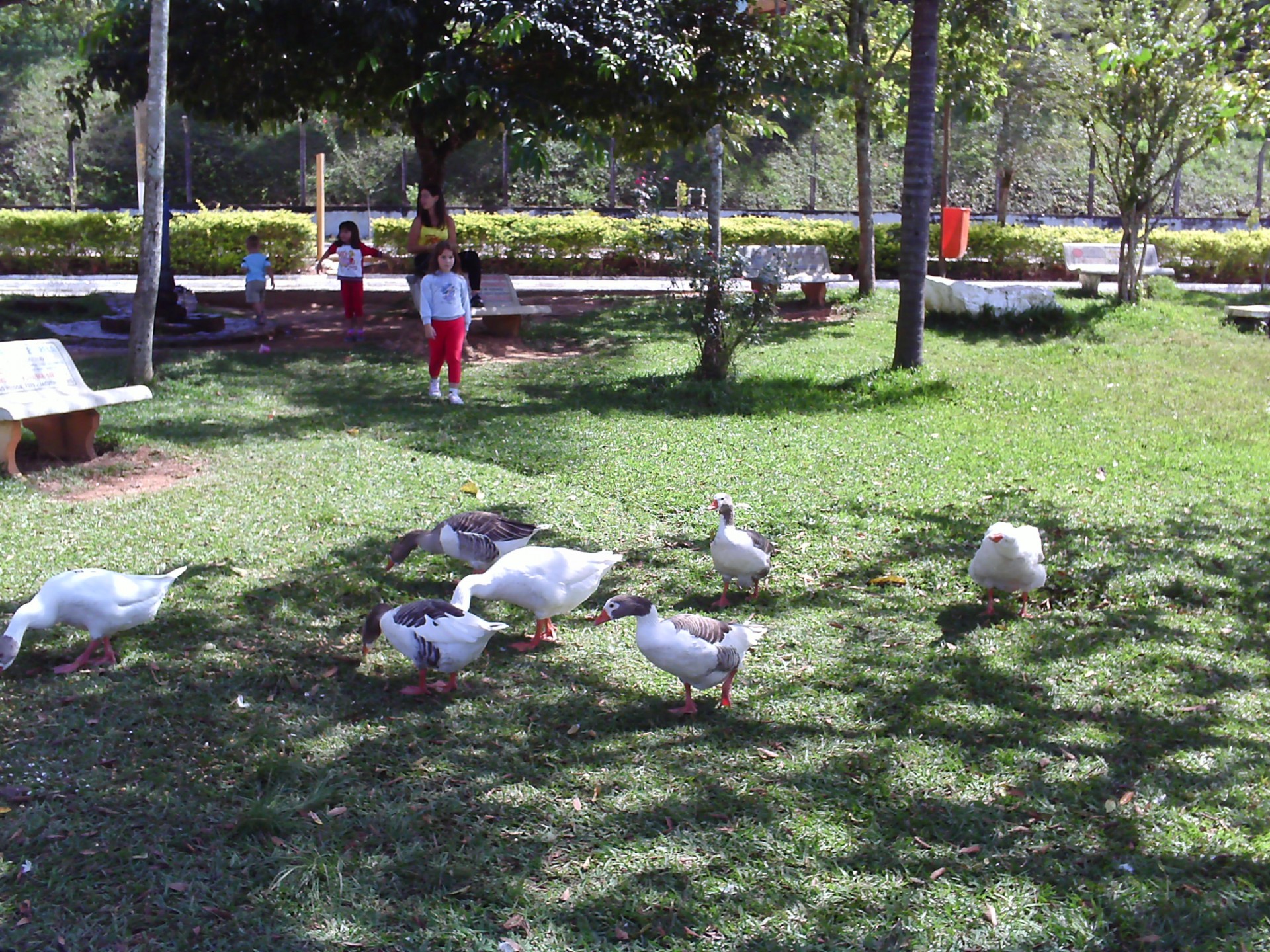 Lago Municipal
