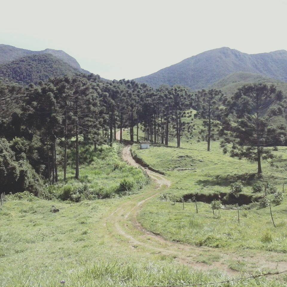 Hospedaria Pedra da Mitra - Receptivo Turístico