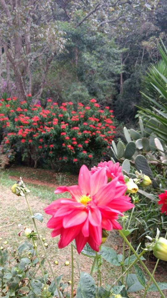 Hospedaria Pedra da Mitra - Receptivo Turístico