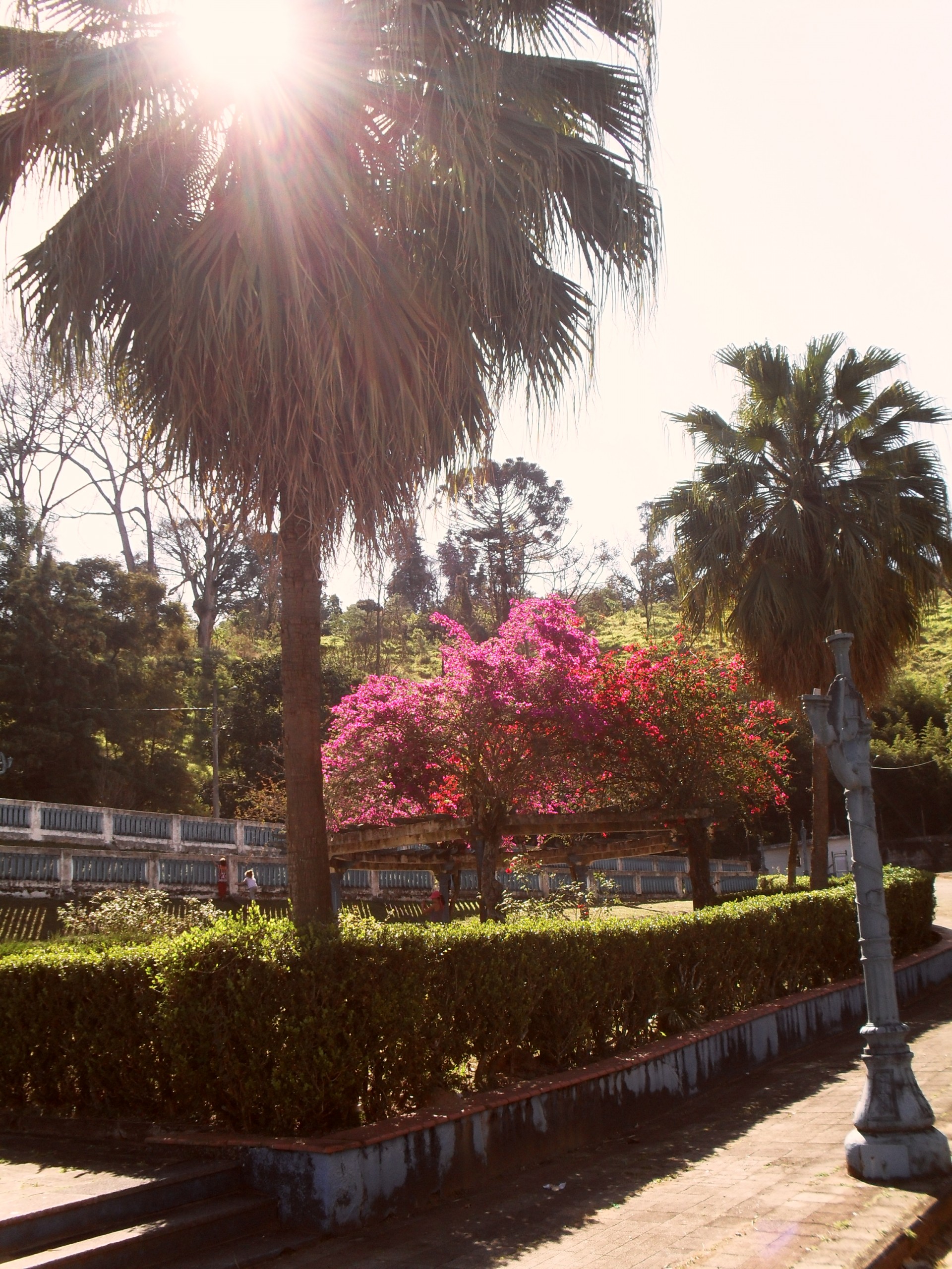 Fonte