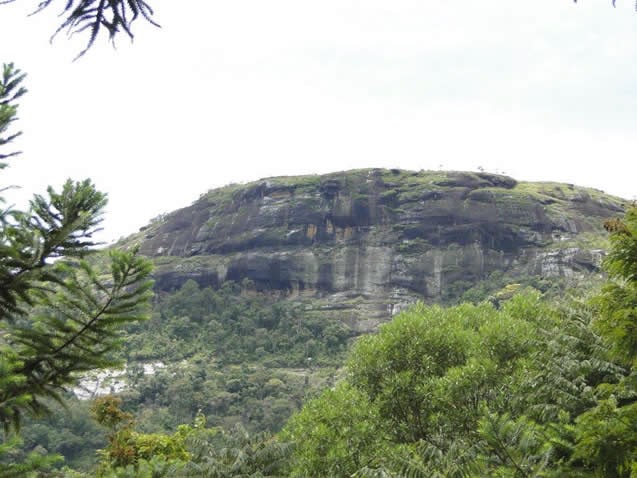 Morro do Pinhal 