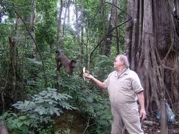 Mata dos Macacos
