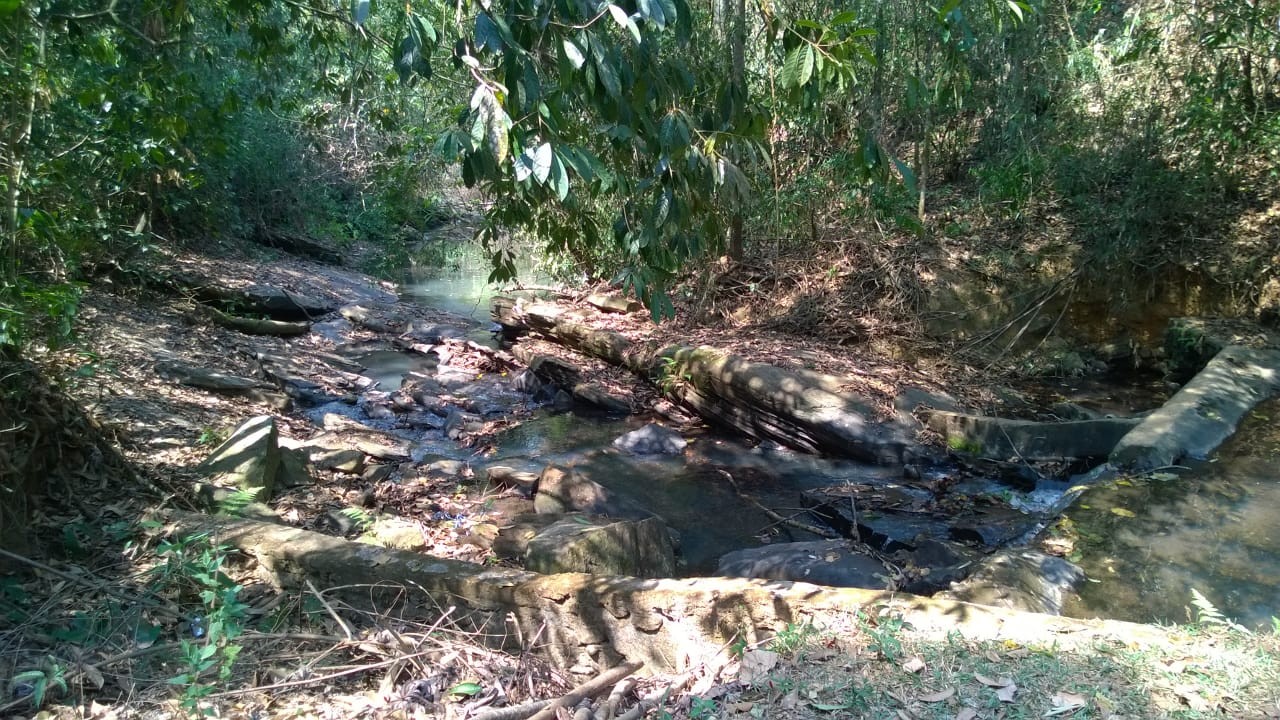 Catarata ou Cachoeirinha