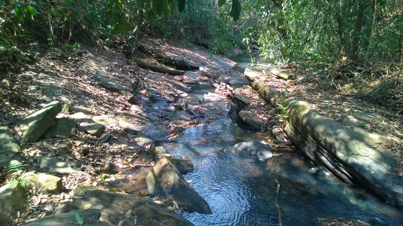 Catarata ou Cachoeirinha