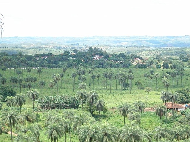 Gordura