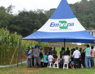 Embrapa Gado de Leite