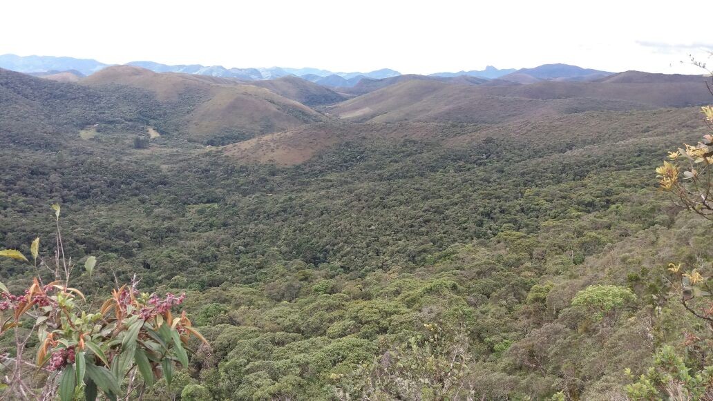 Morro Verde