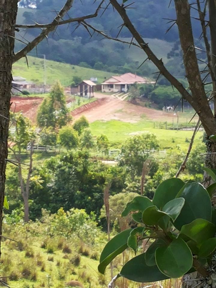 Produções Avila