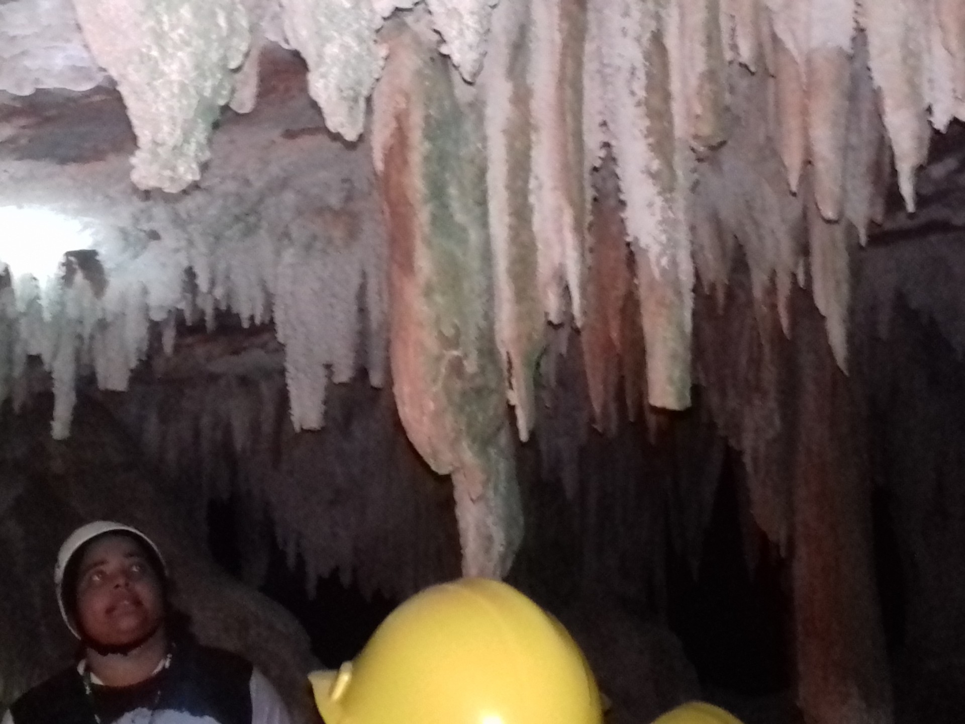 Lapa Bonita