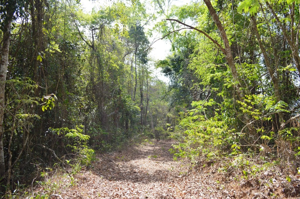 Morro da Torre 