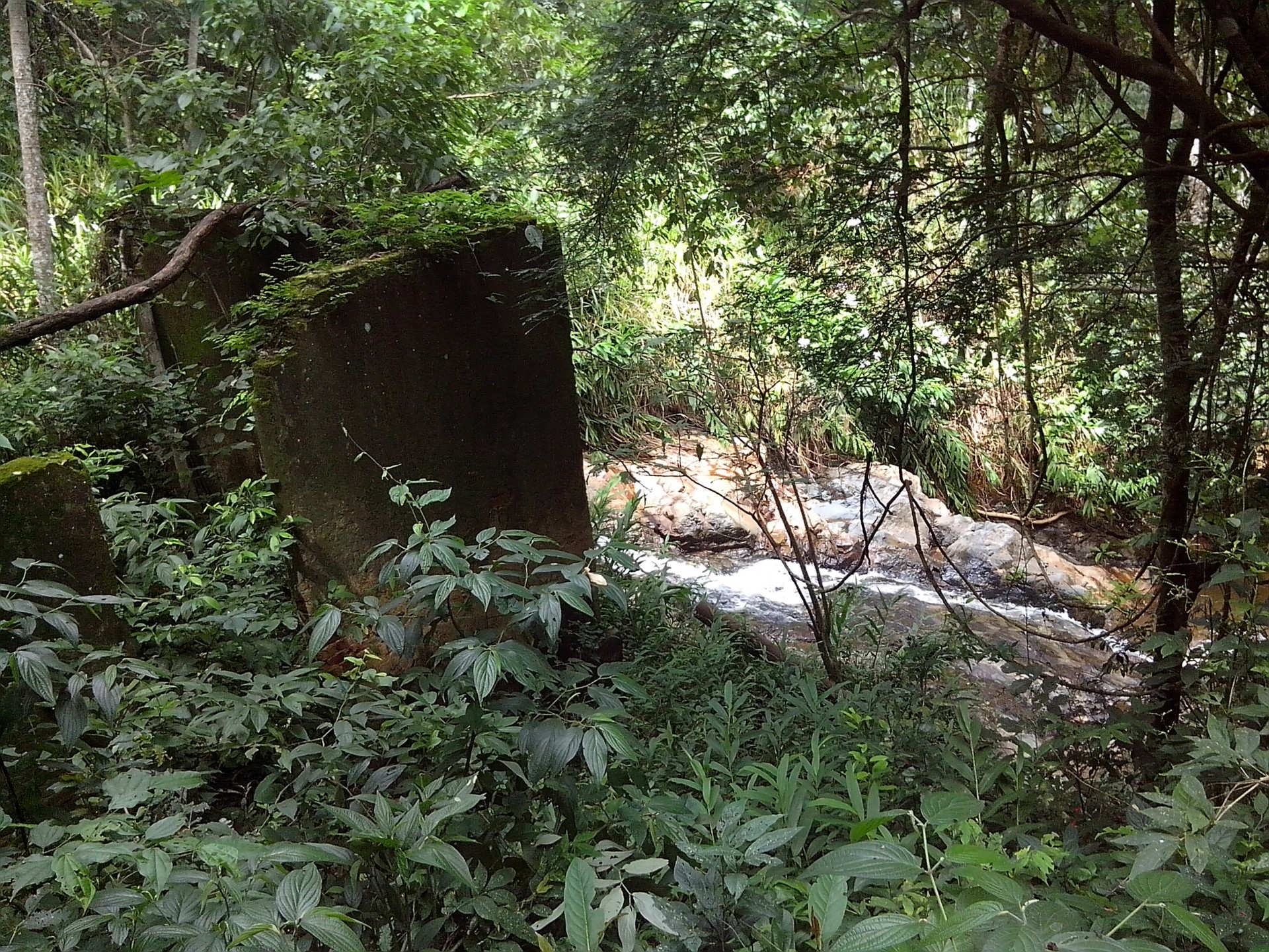 Cachoeira do Bom Café