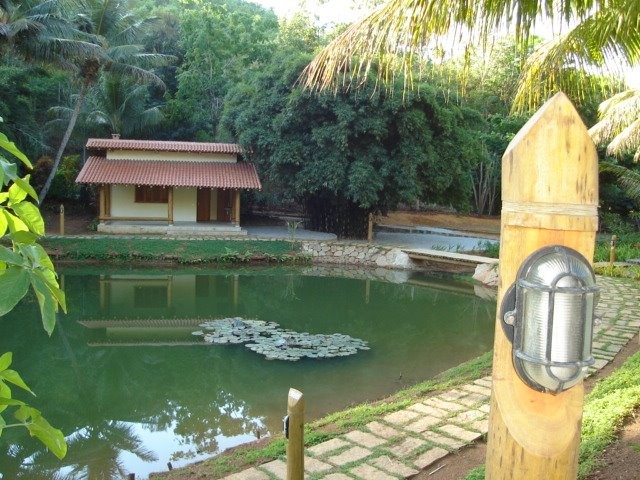 Instituto Terra 