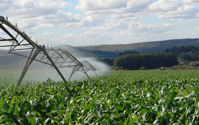 Embrapa Milho e Sorgo