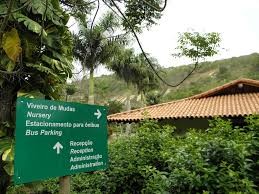 Viveiro de Mudas Nativas – Instituto Terra 