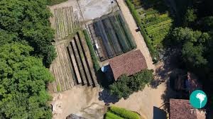 Viveiro de Mudas Nativas – Instituto Terra 