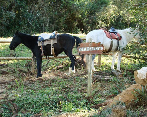 Restaurante Portal da Serra