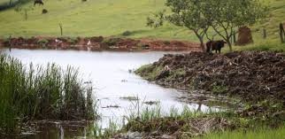 Rio Paraopeba