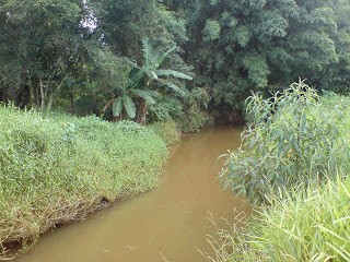 Rio Paraopeba