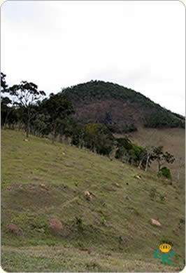 Morro do Carrapato