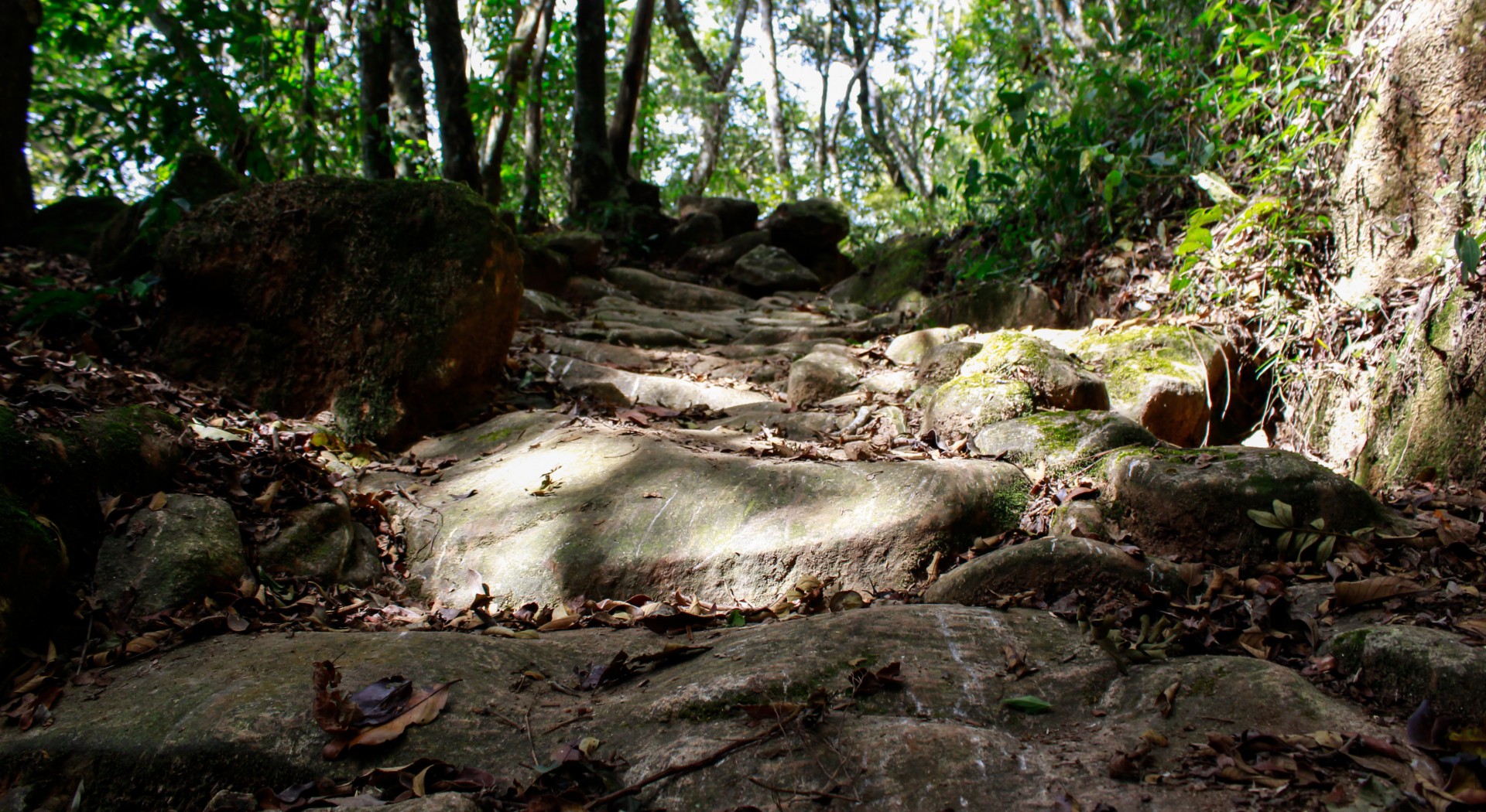Serra do Rachado