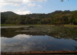 Jardim Botânico