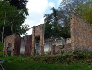 Jardim Botânico