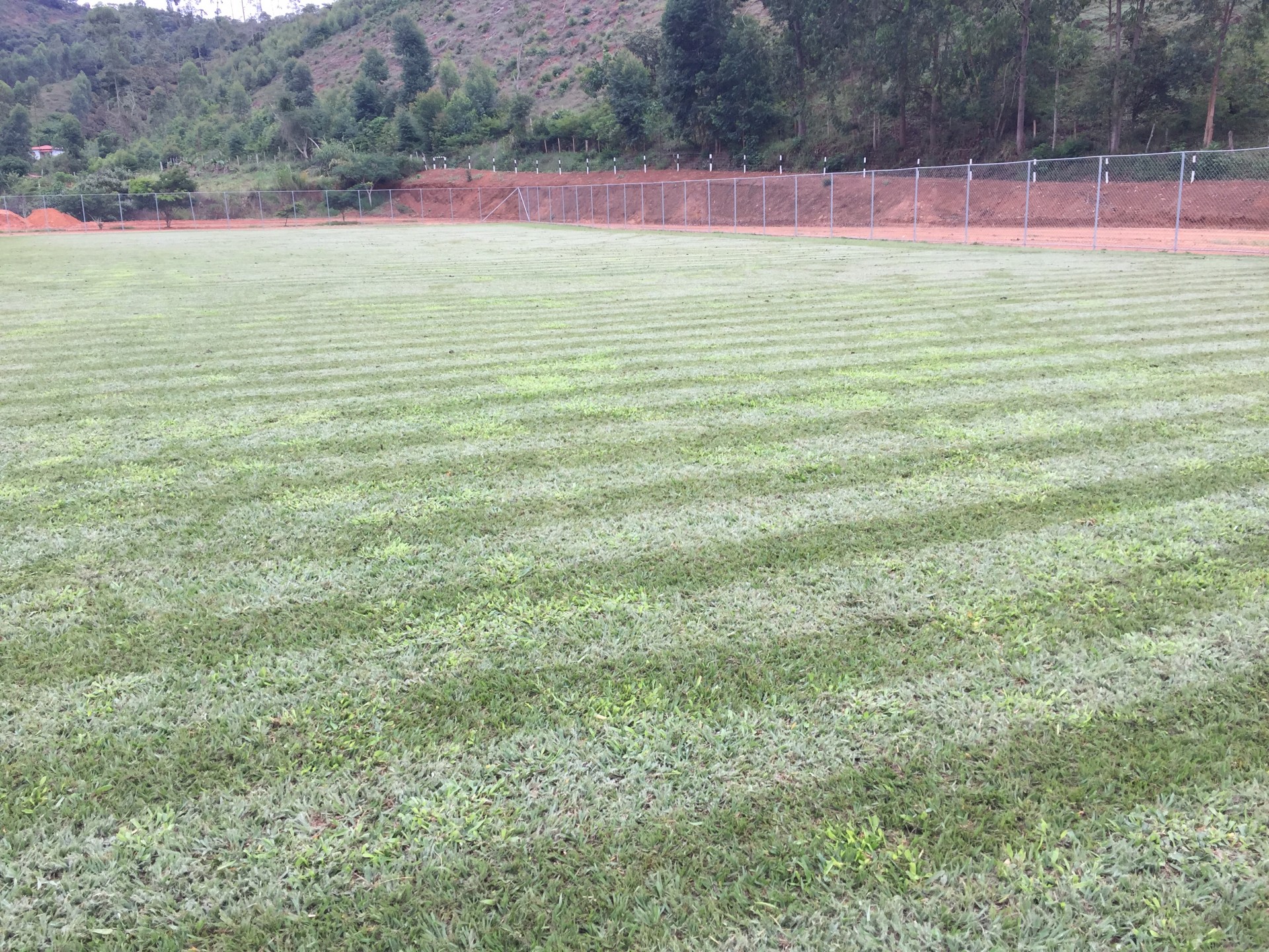 Campo Municipal