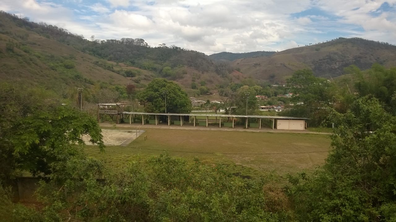 Acaiacão
