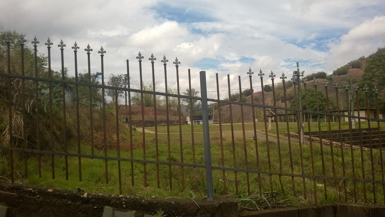 Acaiacão
