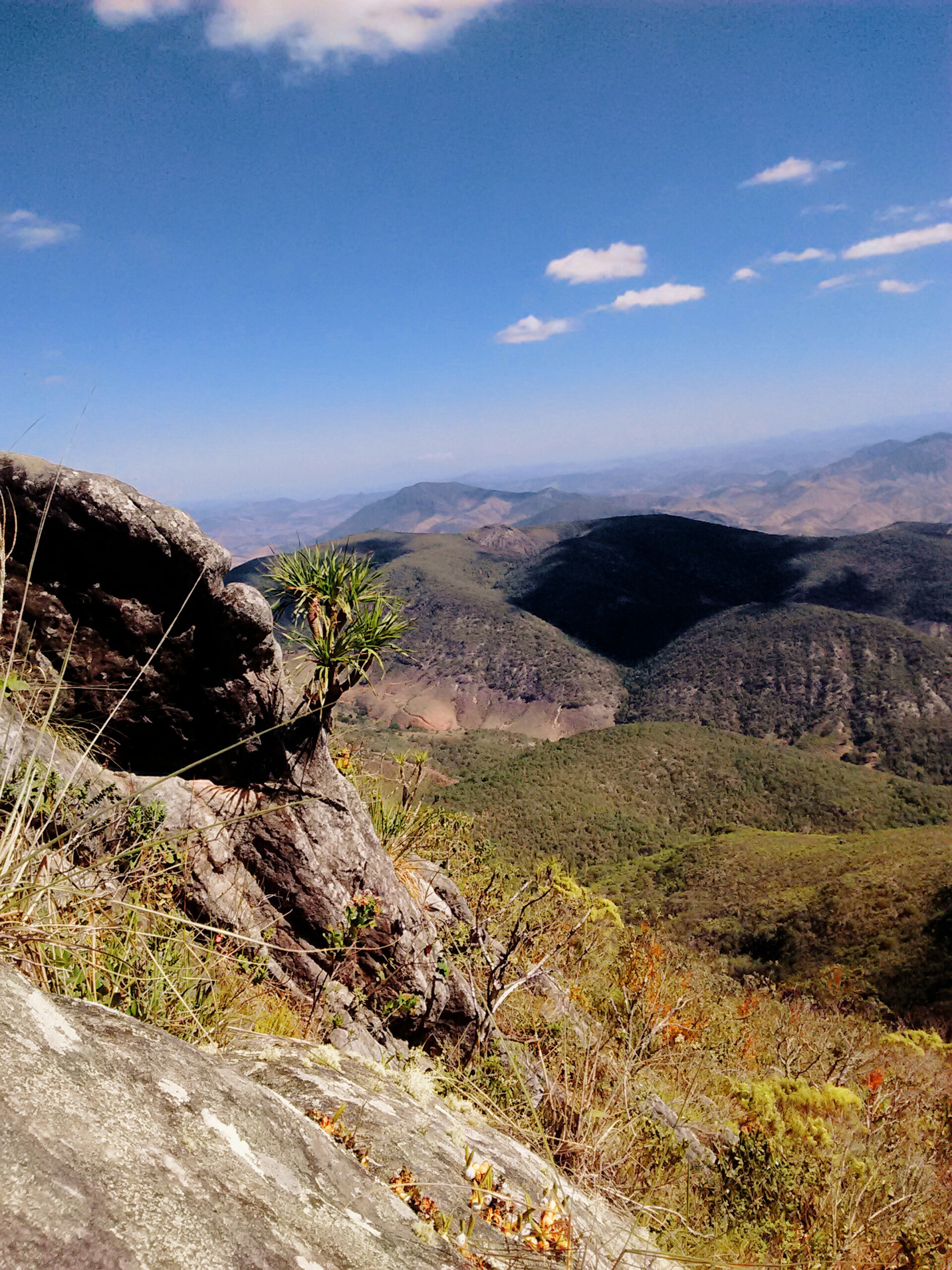 Pico da Aliança