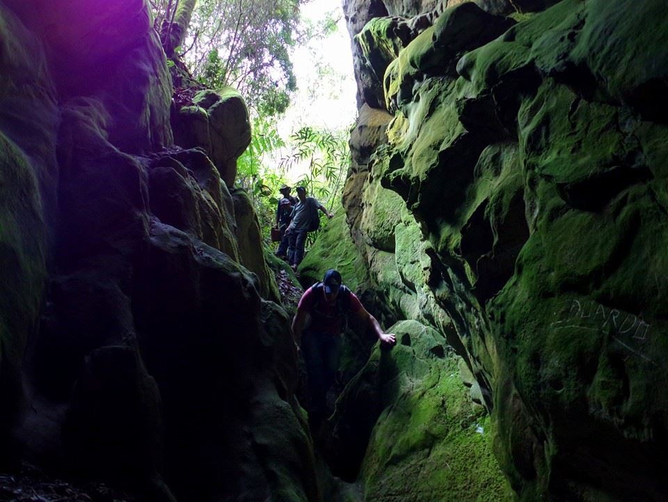Pico da Aliança