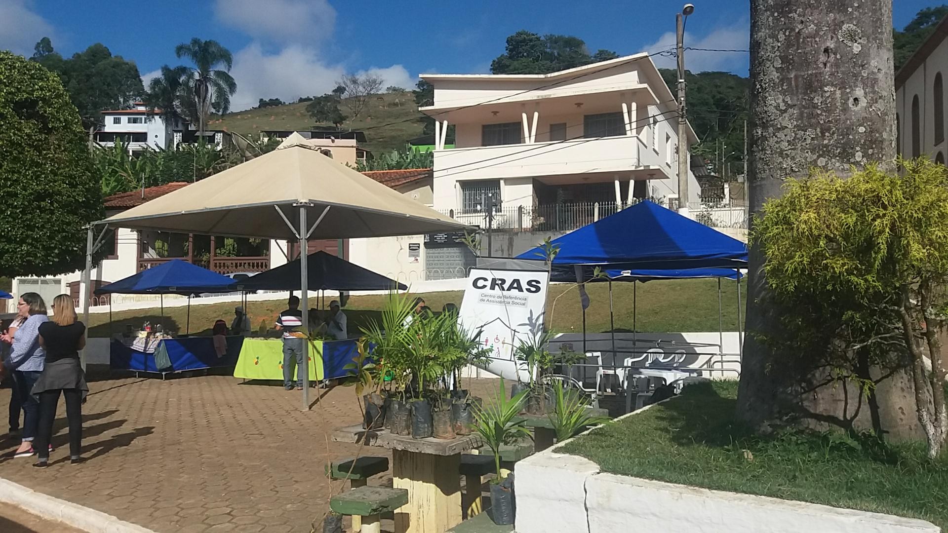 Feira do produtor
