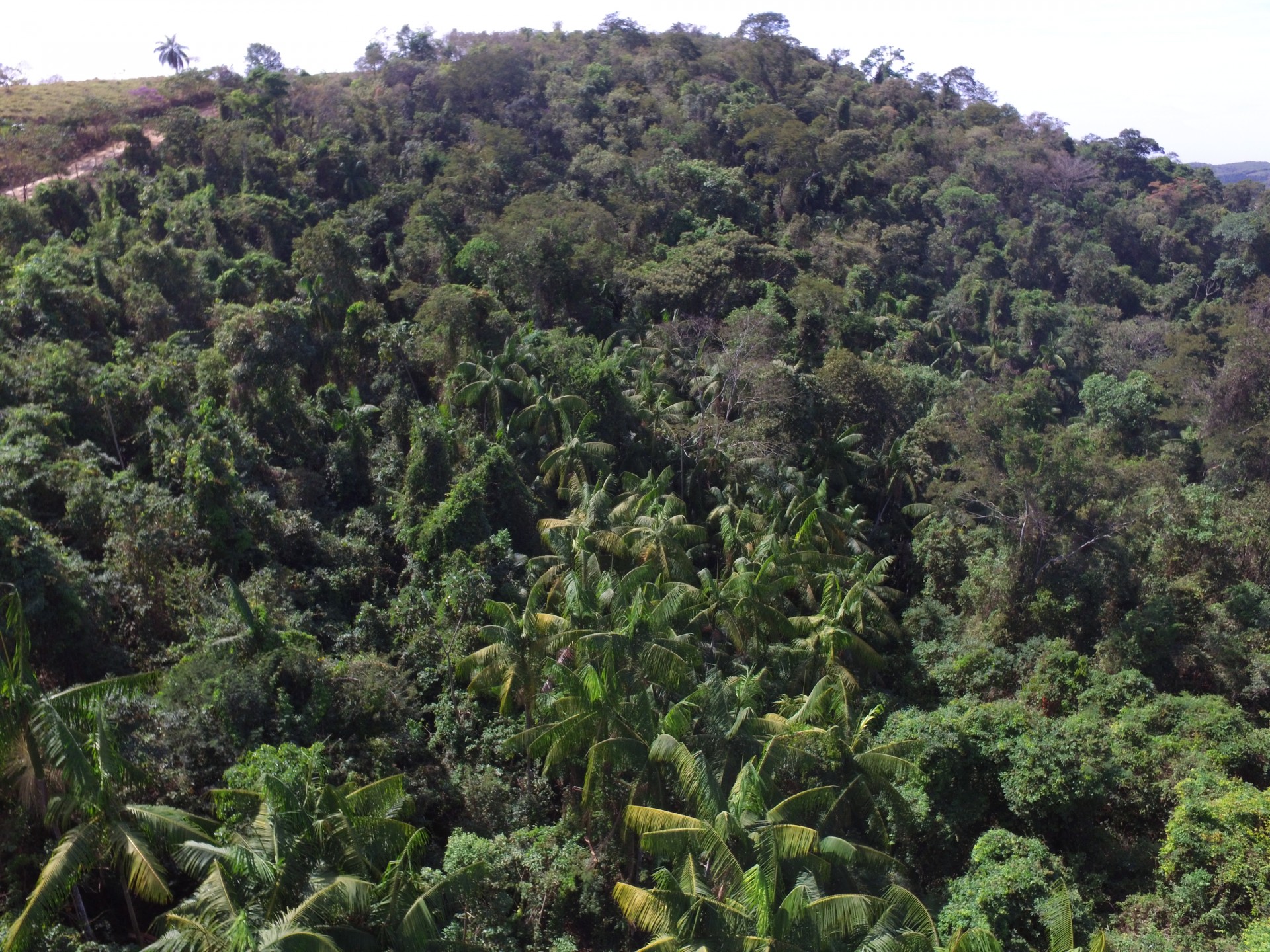 Parque Estadual dos Campos Altos