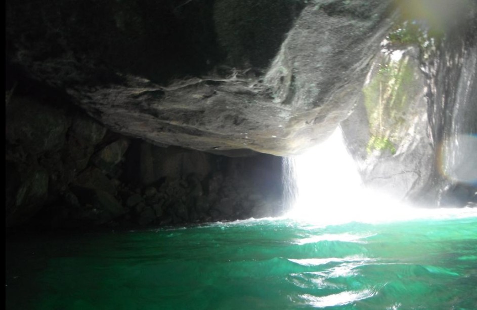Andorinhão