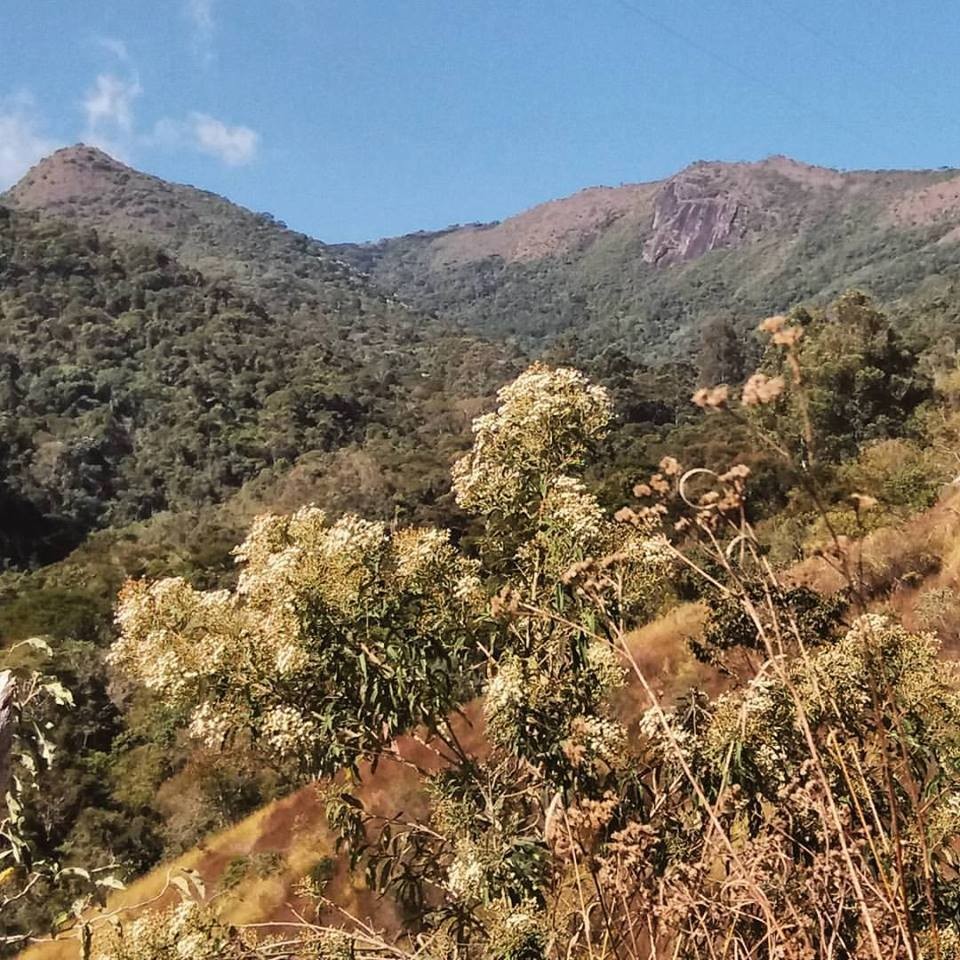 Pedra Preta