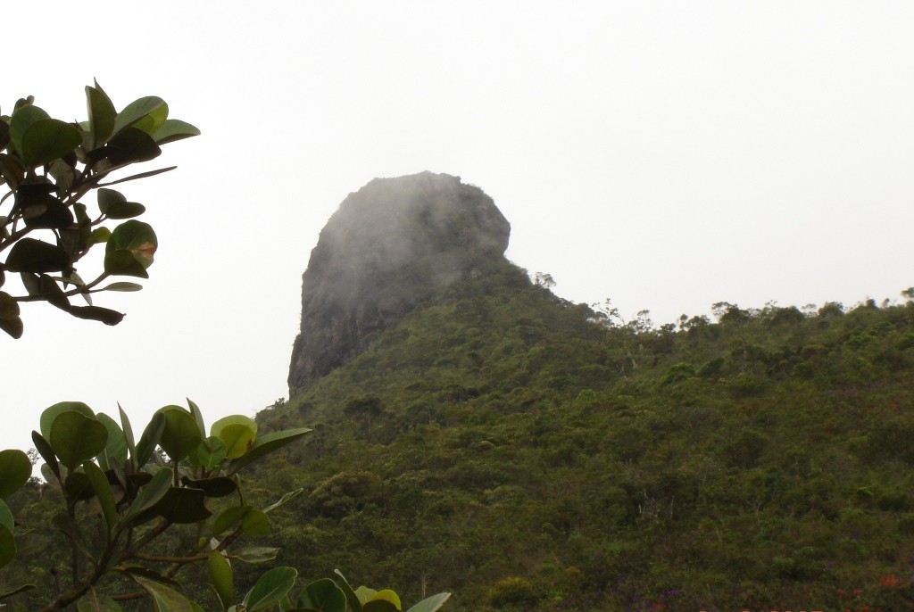 Pico do Boné 