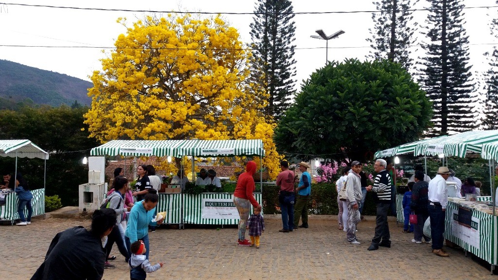 Feira Livre da Agroecologia 