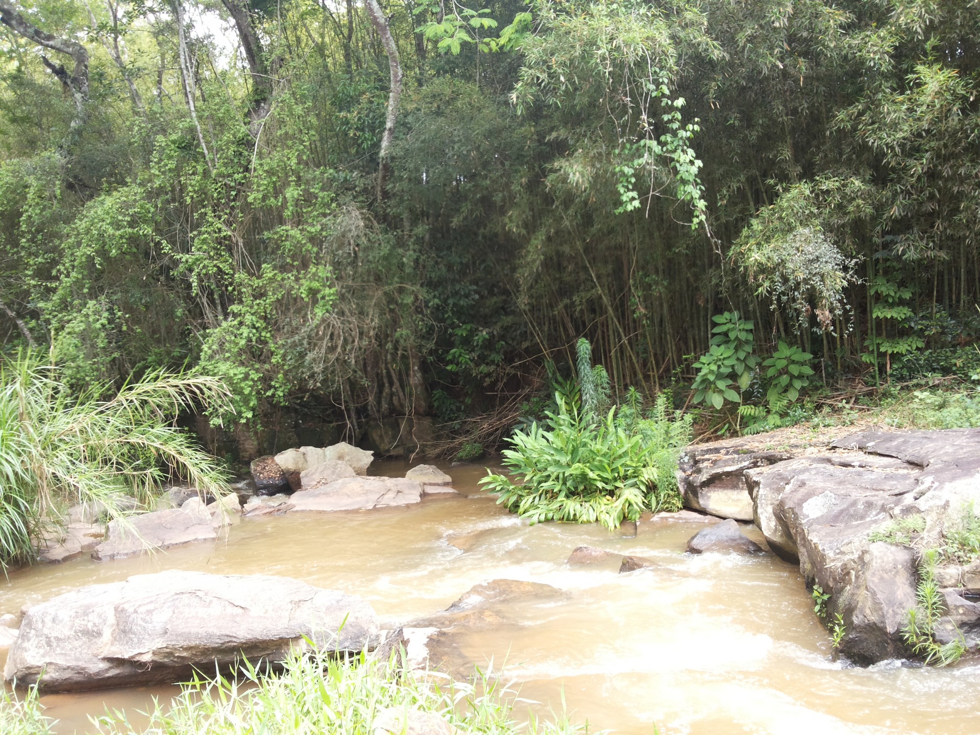 Cahoeirinha