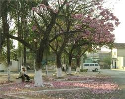 Praça Municipal São Sebastião