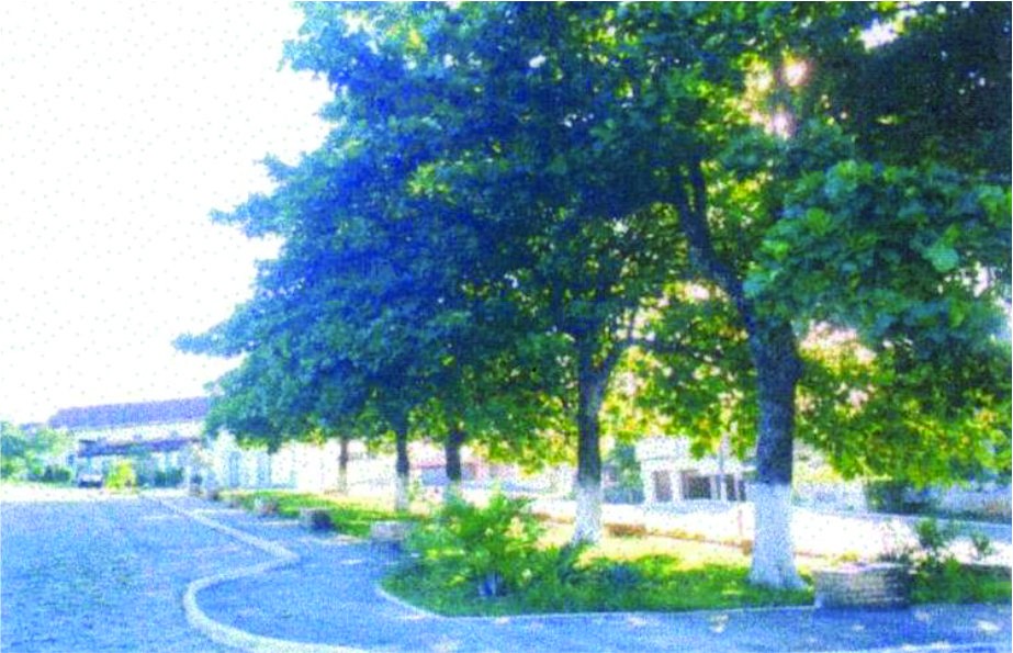  Praça das Castanheiras da Igreja Matriz  