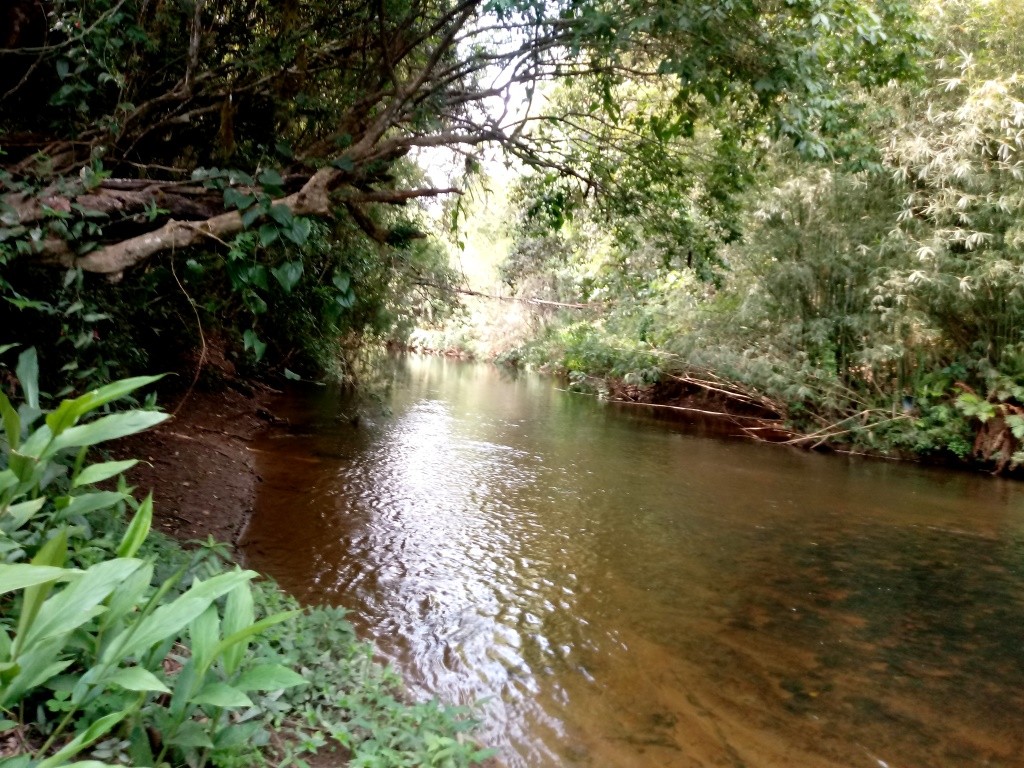 Rio Lourenço Velho