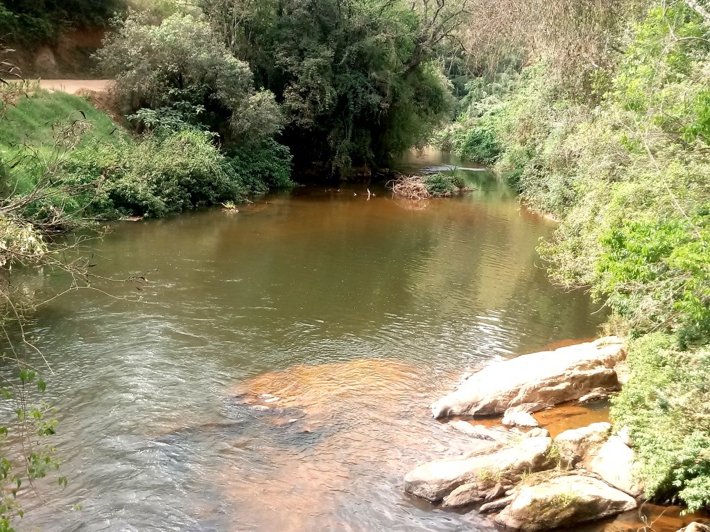 Rio Lourenço Velho