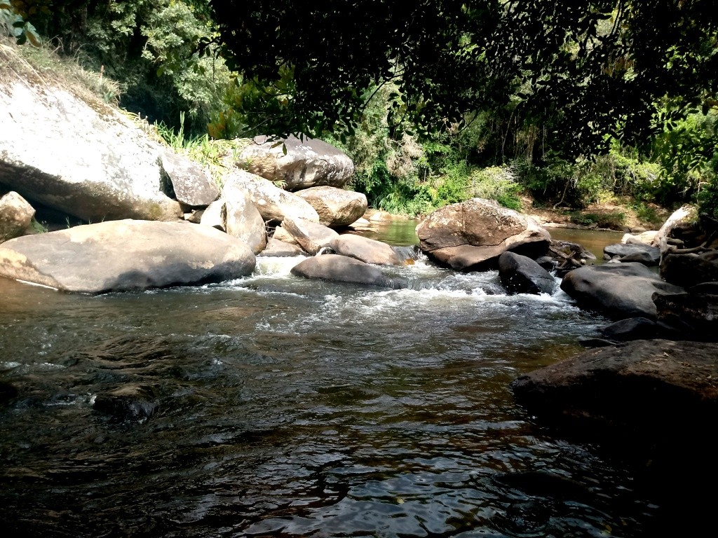 Rio Lourenço Velho