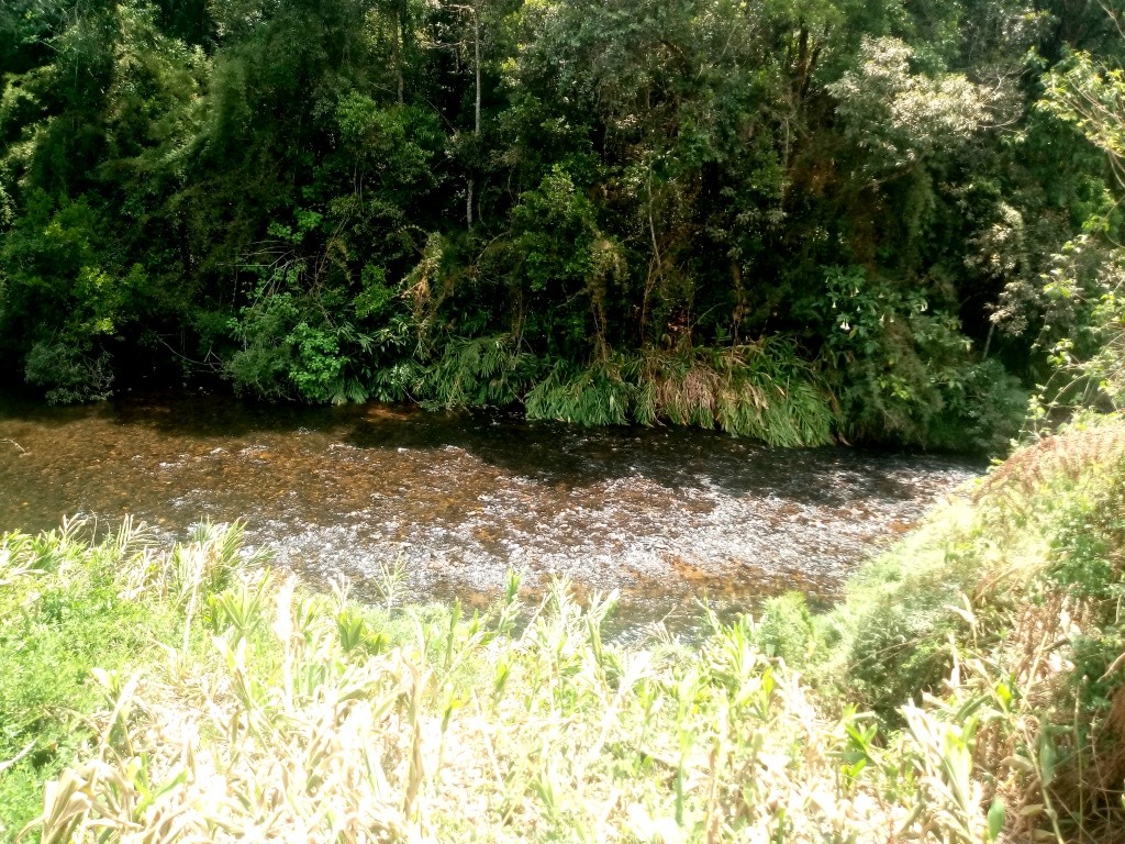 Rio Lourenço Velho