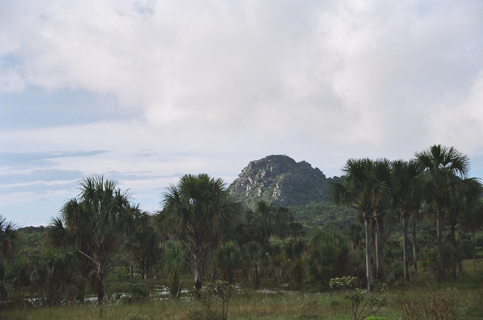 Parque Estadual Serra do Cabral